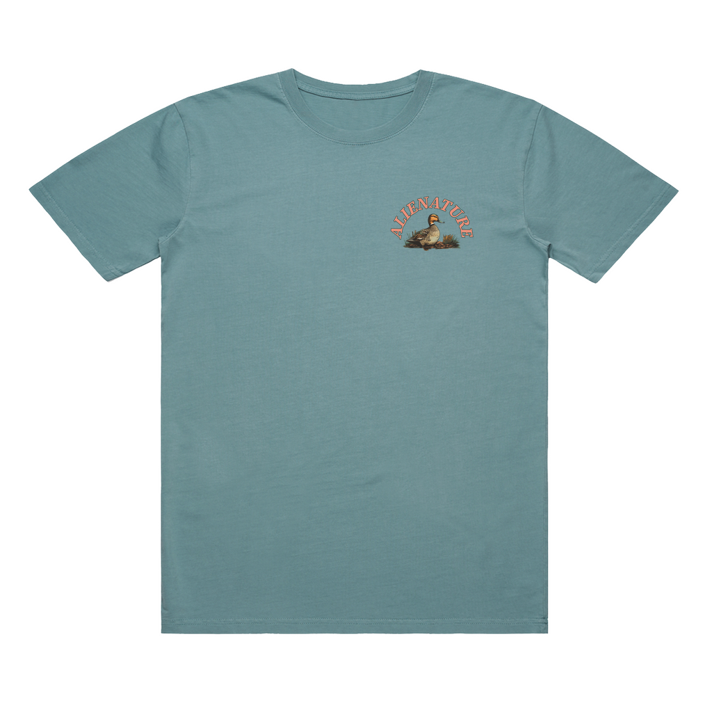 Birds of BC - Mallard T