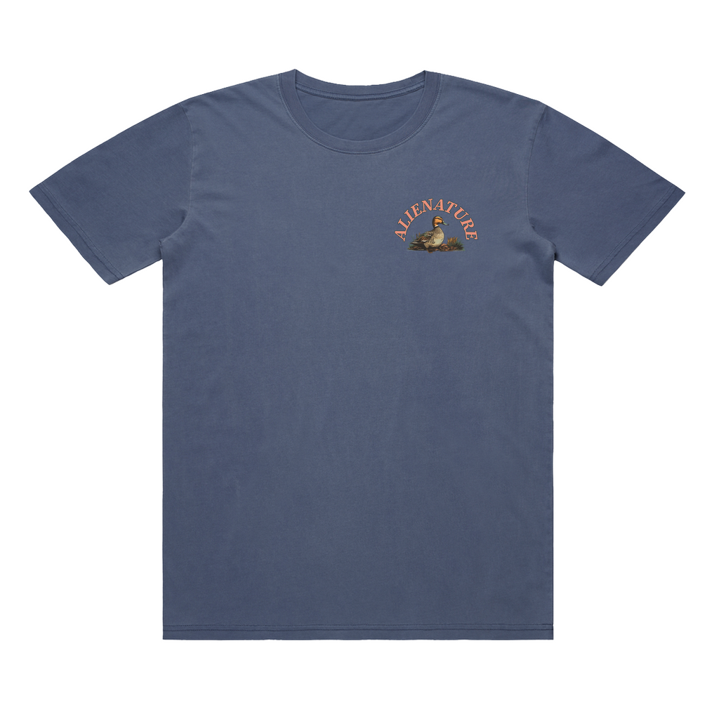 Birds of BC - Mallard T