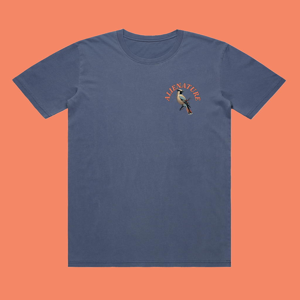 Birds of BC - Waxwing T